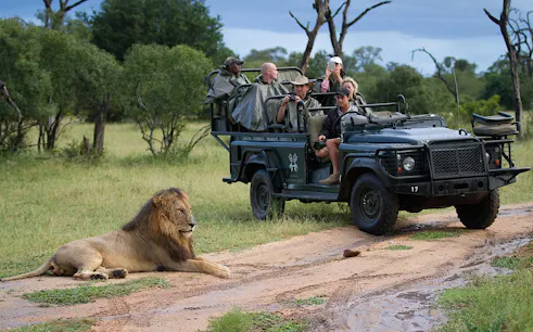 sabi sands big 5 safari and cape town private tours with premium accommodation, internal flights, and transfers-1