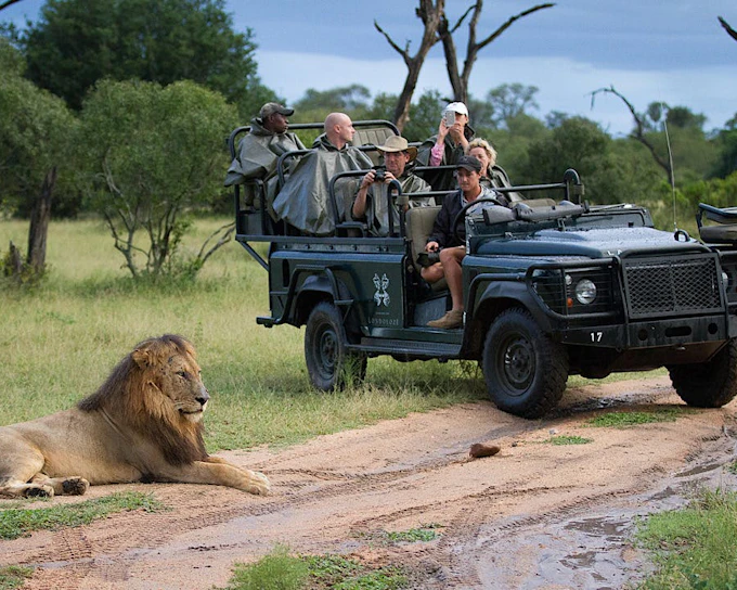 Sabi Sands Big 5 Safari and Cape Town Private Tours with Premium Accommodation, Internal Flights, and Transfers