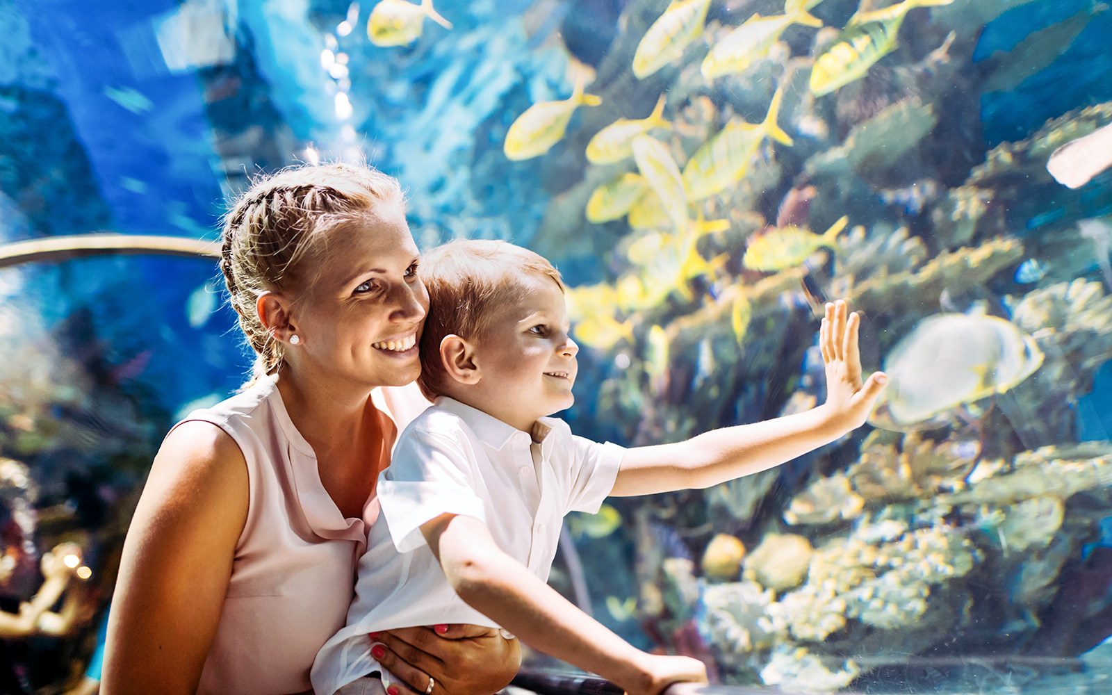 Mother and child enjoying SEA LIFE Munich aquarium exhibit.