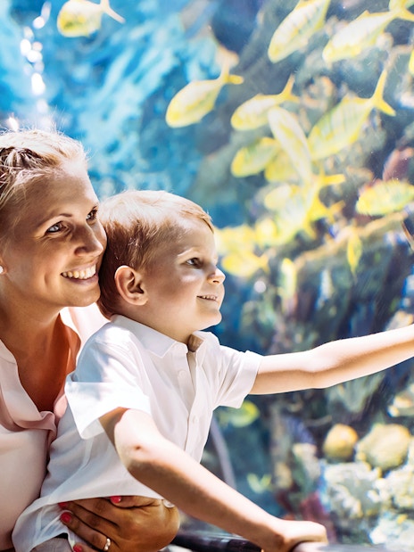 Mother and child enjoying SEA LIFE Munich aquarium exhibit.