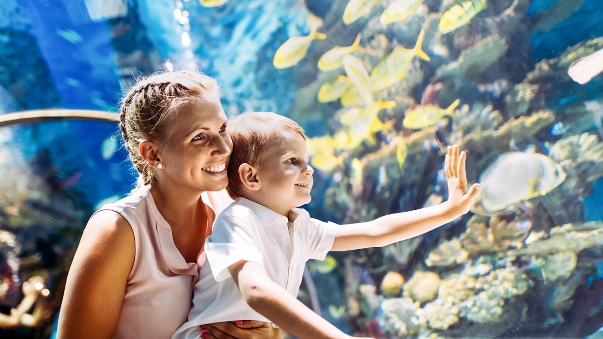 Mom and son exploring city aquarium