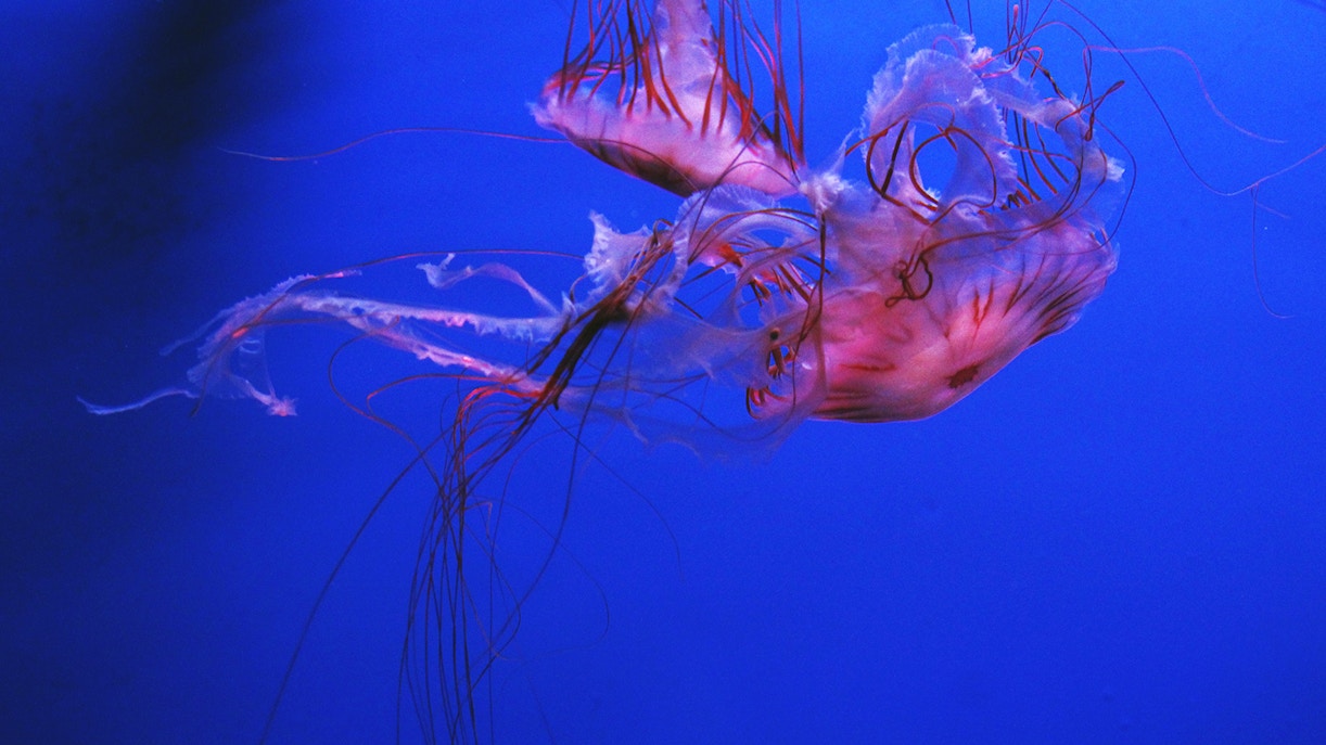 campo de concentracion dachau