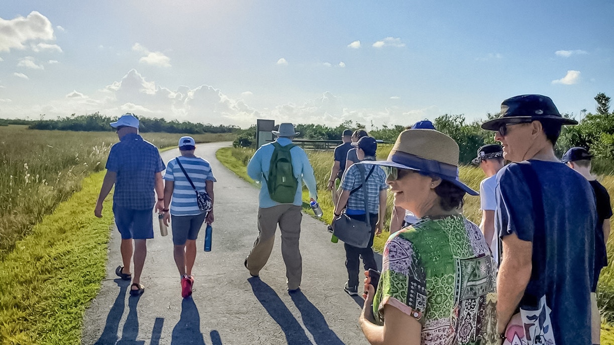 Visitors on a guided nature walk in Everglades National Park, observing diverse wildlife and lush landscapes.