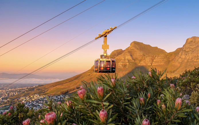 Cable car ascending Table Mountain at sunset, Cape Town, with city and flora below.