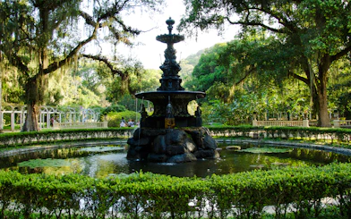 Rio de Janeiro Botanical Garden and Parque Lage Guided Tour with Professional Photos