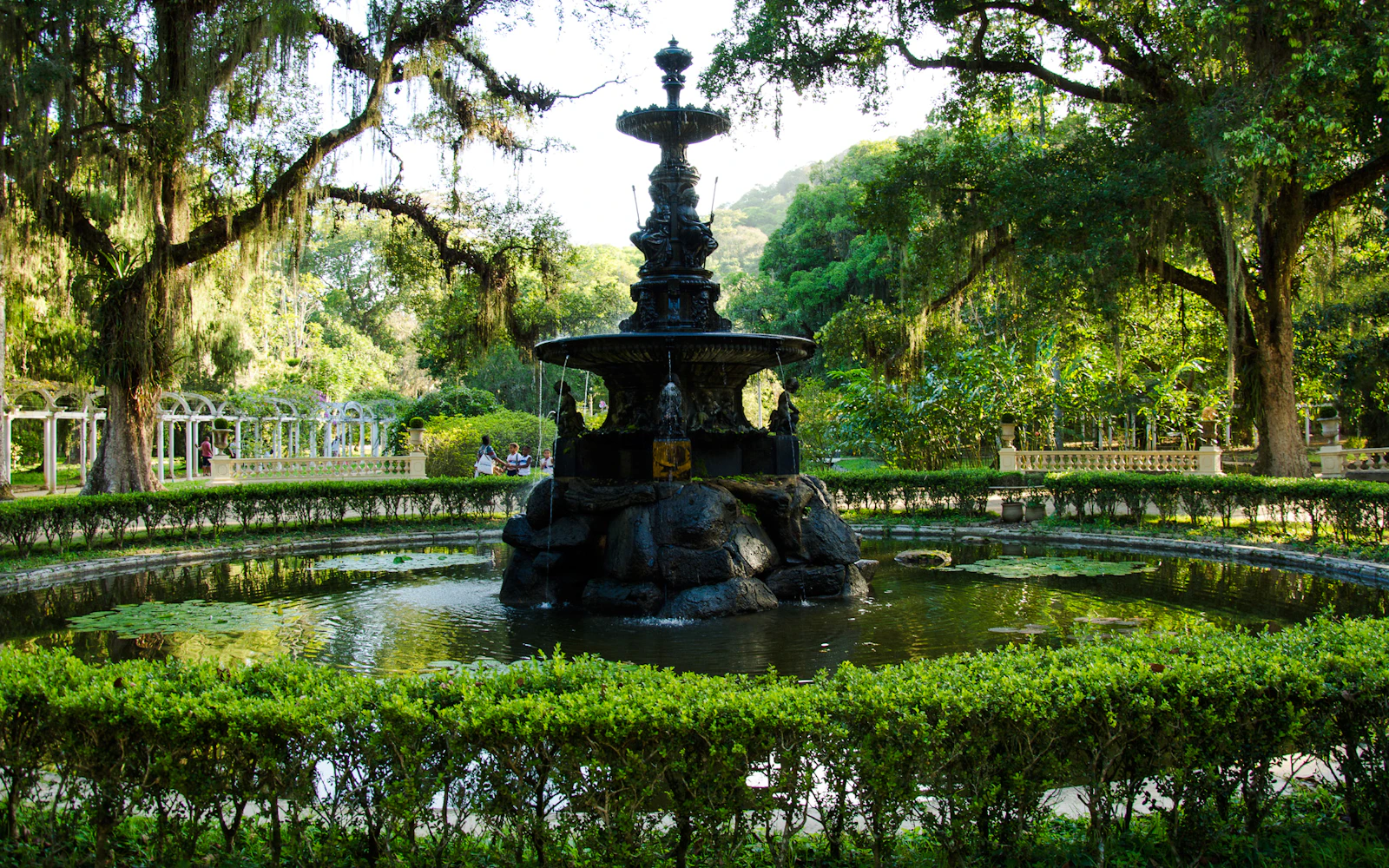 Rio de Janeiro Botanical Garden and Parque Lage Guided Tour with Professional Photos Image 2