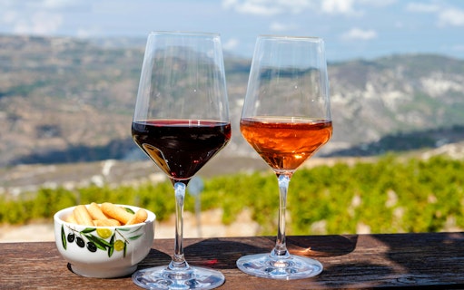 Tasting red and rosé wines at a Cyprus winery with Troodos Mountains in the background.