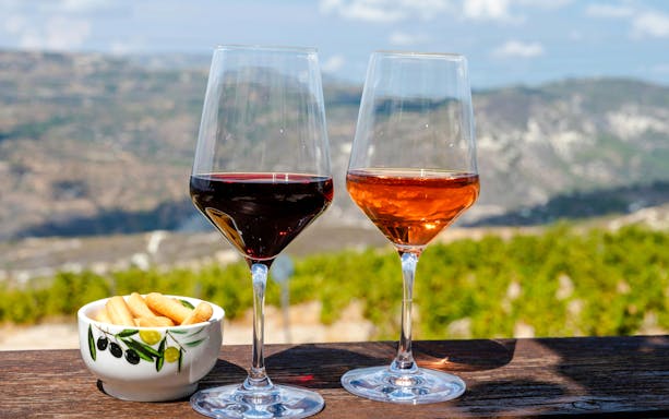 Tasting red and rosé wines at a Cyprus winery with Troodos Mountains in the background.