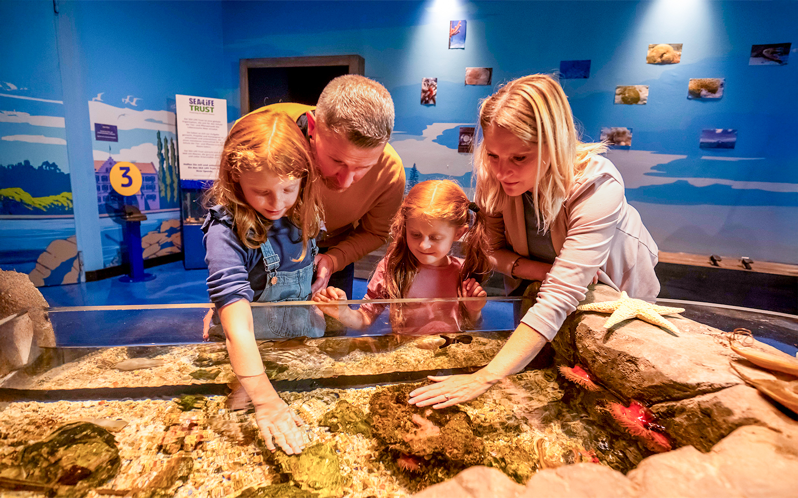 Family exploring touch pool with marine life at Sea Life Konstanz.
