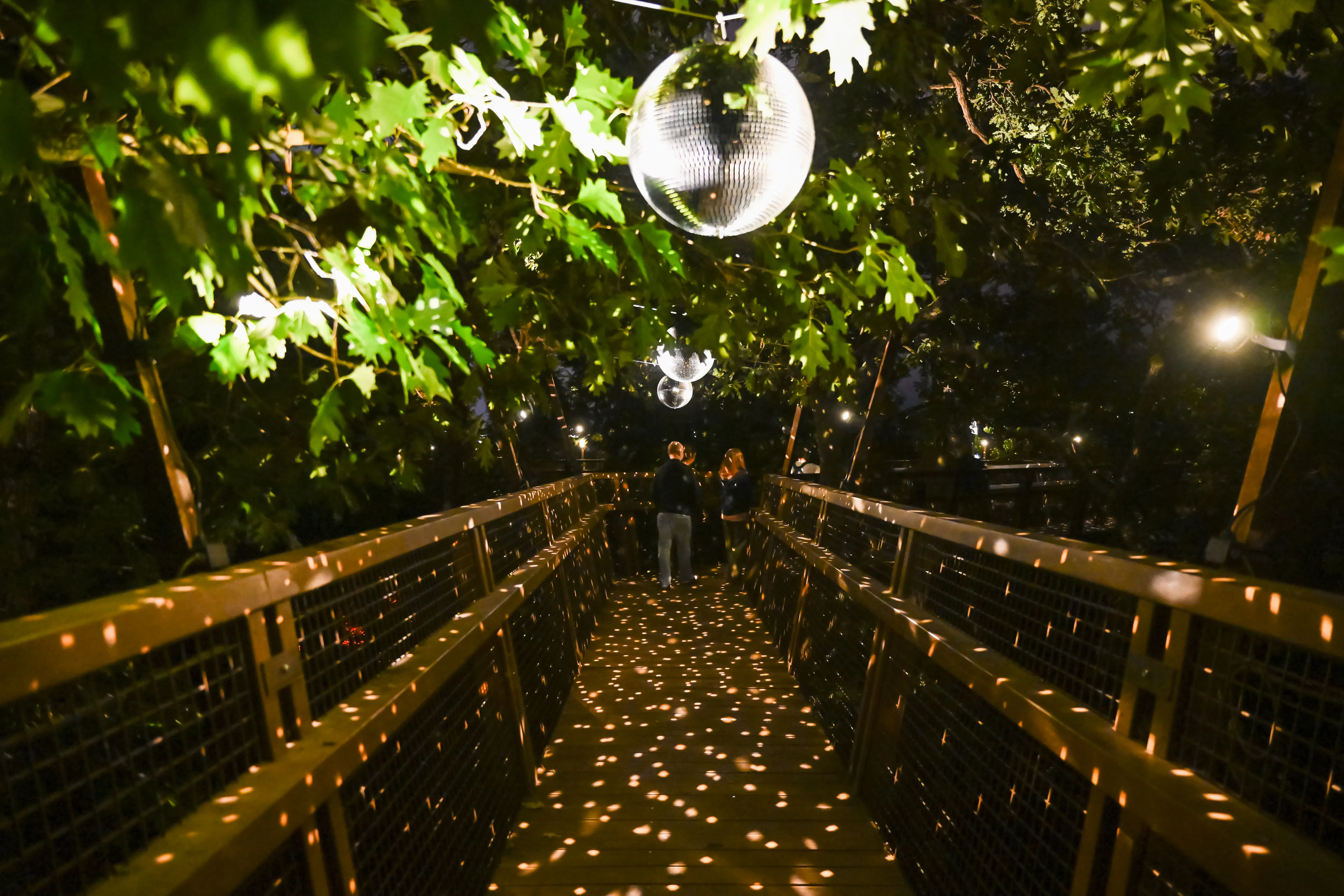 billetter til «serralves in light 2026»-15
