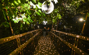 „serralves in light 2026“ – tickets-15