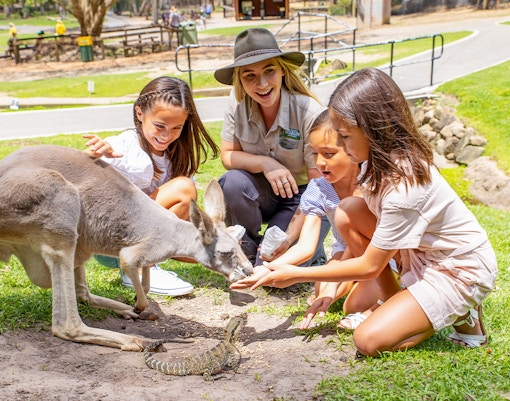 Children feeding a kangaroo at Currumbin Wildlife Sanctuary.