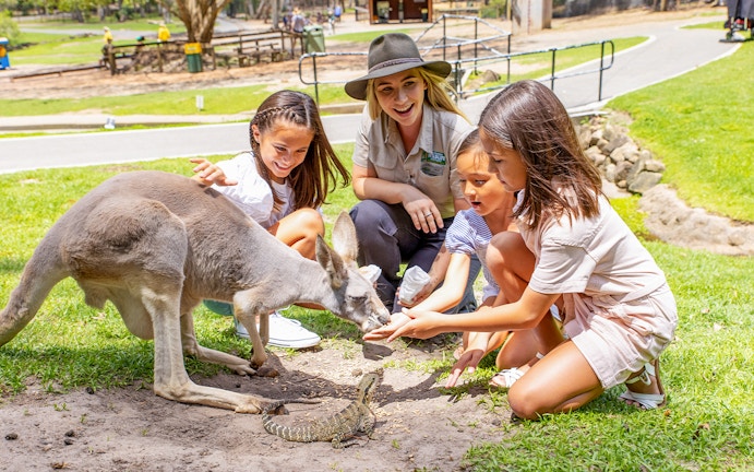 Three young girls joyfully feeding a kangaroo under the guidance of a wildlife educator at Currumbin Wildlife Sanctuary