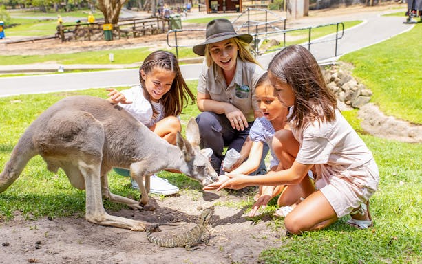 Children feeding a kangaroo at Currumbin Wildlife Sanctuary.