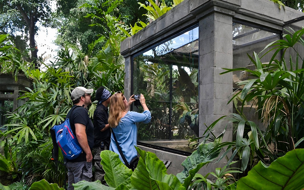 Visitors observing reptiles at Bali Reptile Park exhibit.
