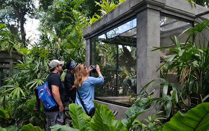 Visitors observing reptiles at Bali Reptile Park exhibit.