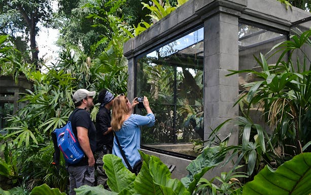 Visitors observing reptiles at Bali Reptile Park exhibit.