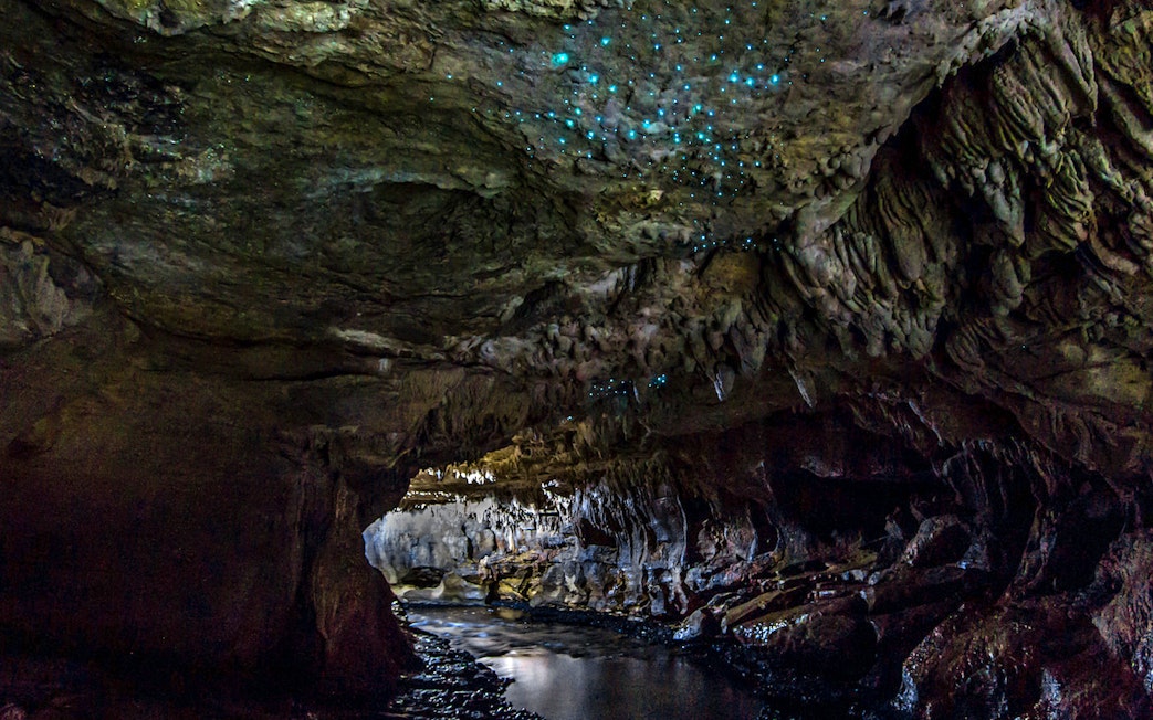 Glowworms illuminating the Waitomo Caves ceiling during a small group guided tour.