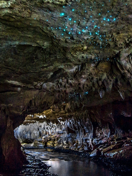 Glowworms illuminating the Waitomo Caves ceiling during a small group guided tour.