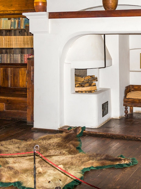 Bran Castle library interior with bookshelves, fireplace, and bear rug.