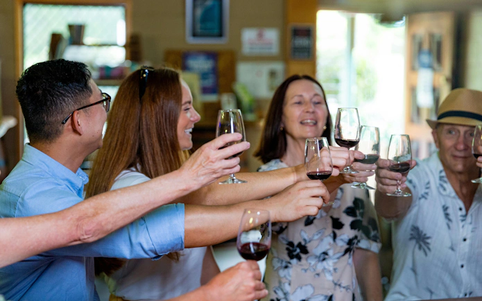 Group toasting with wine glasses during The Tastes of Tamborine Mountain tour.