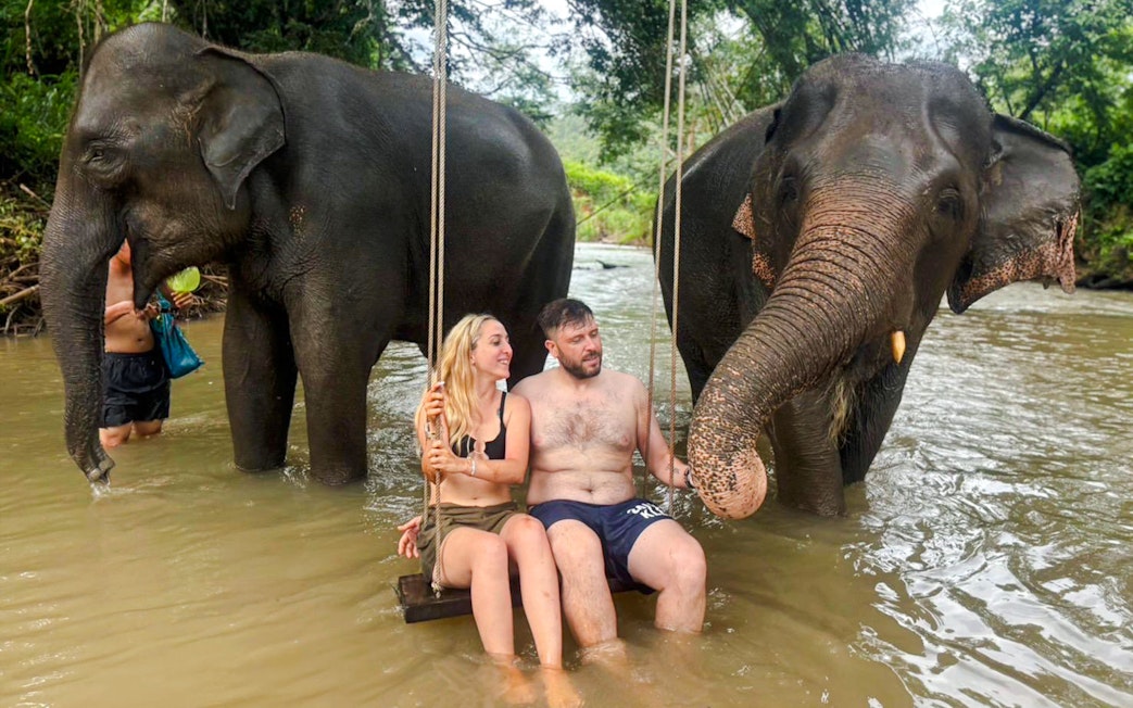 Elephants interacting with visitors on a swing in a river at Chiang Mai Elephant Sanctuary.