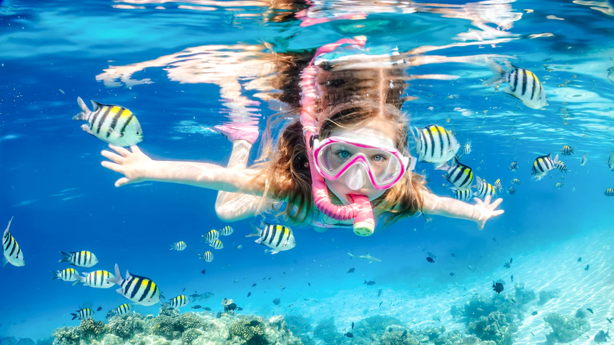 Girl snorkelling among fish at White Island, Sharm El-Sheikh.