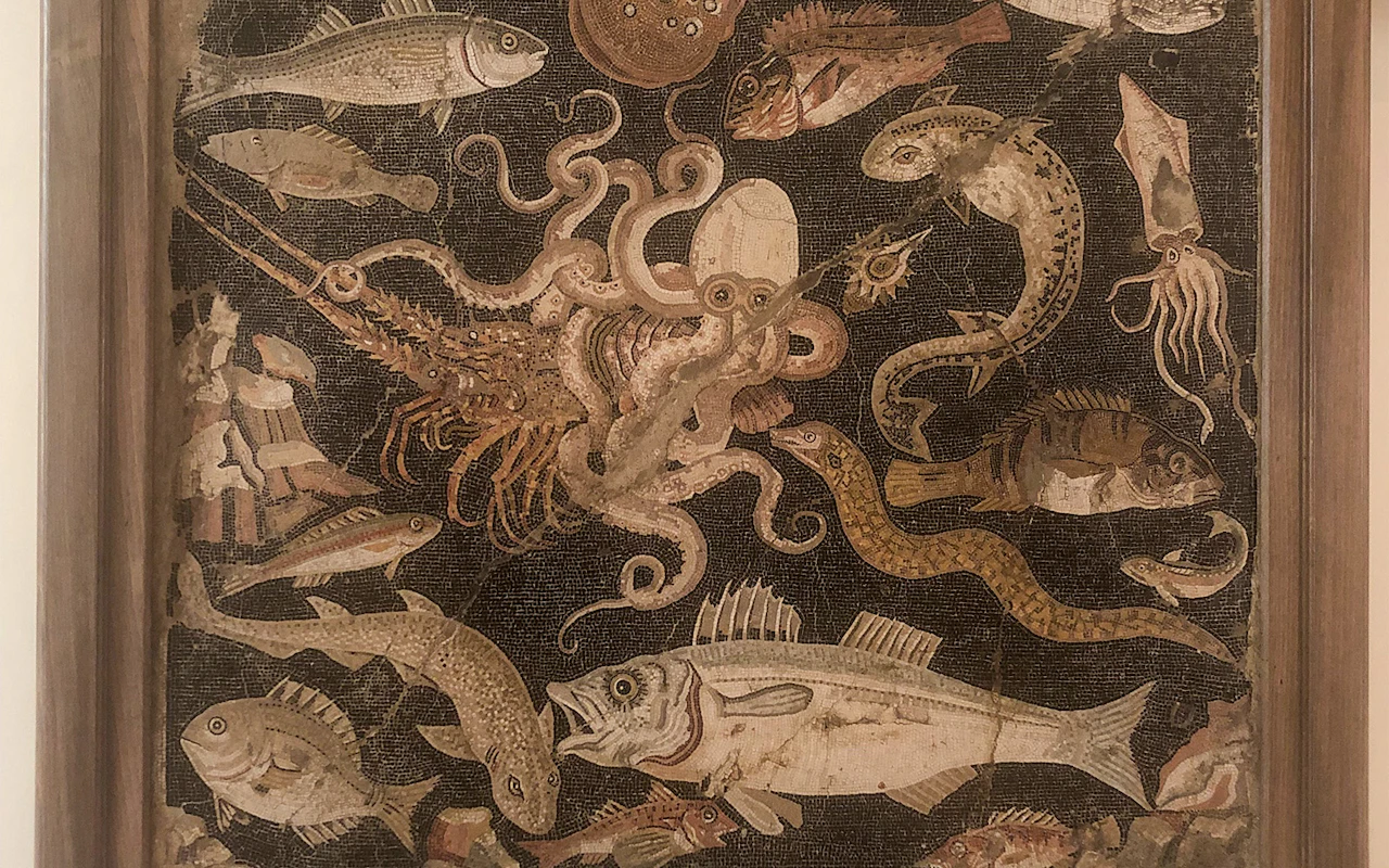 Combo: Biglietti per Ercolano + Museo archeologico nazionale di Napoli — 9