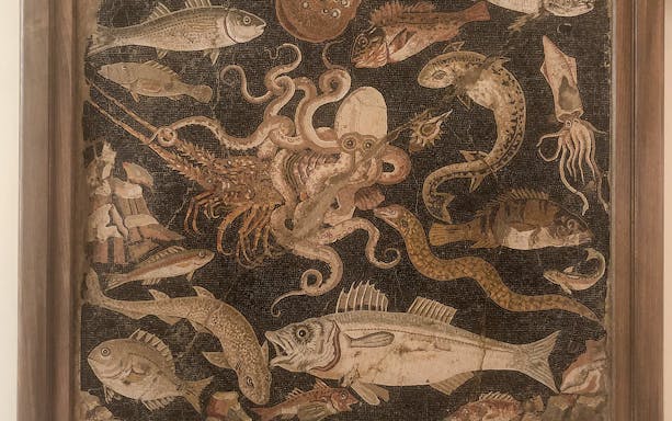 Fresco of marine life with fish and octopus at Naples National Archaeological Museum.