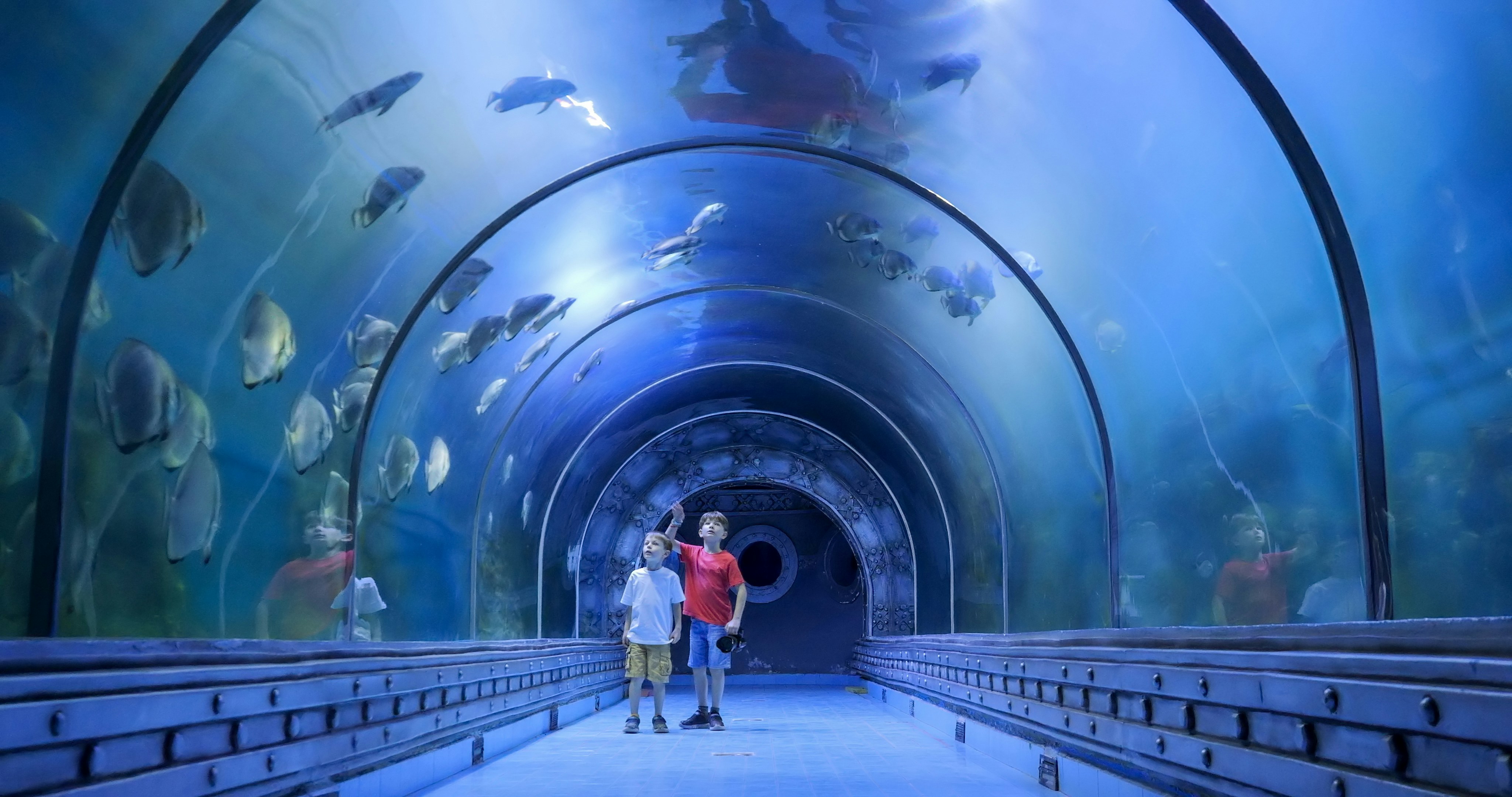 Boys observing fish in tunnel at Hurghada Grand Aquarium.