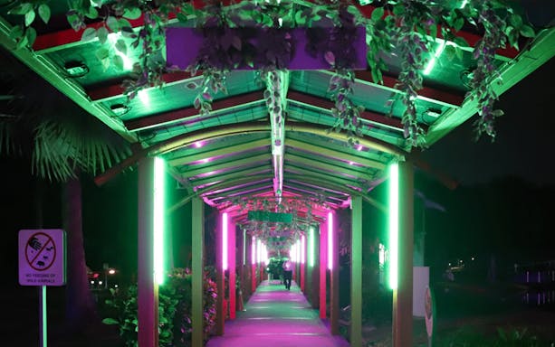 Neon-lit walkway at Harrowing Halloween 3, Singapore Discovery Centre.