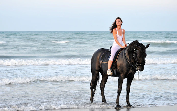 Side Beach and Forest Horseback Riding with Hotel Transfers