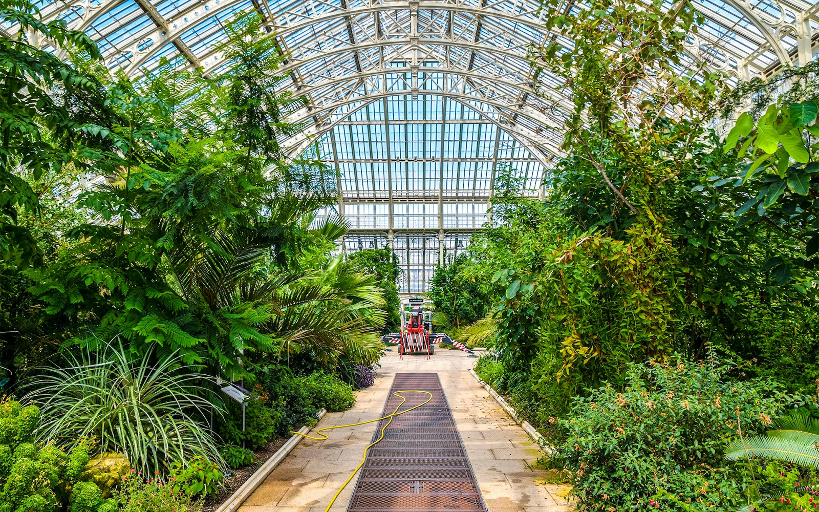 Princess of Wales Conservatory