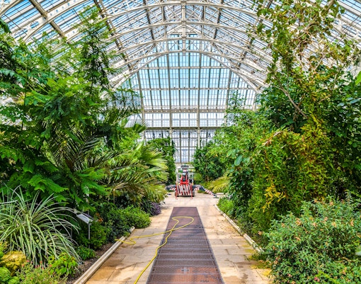 Kew Gardens greenhouse interior with diverse plant species, Royal Botanic Gardens, London.
