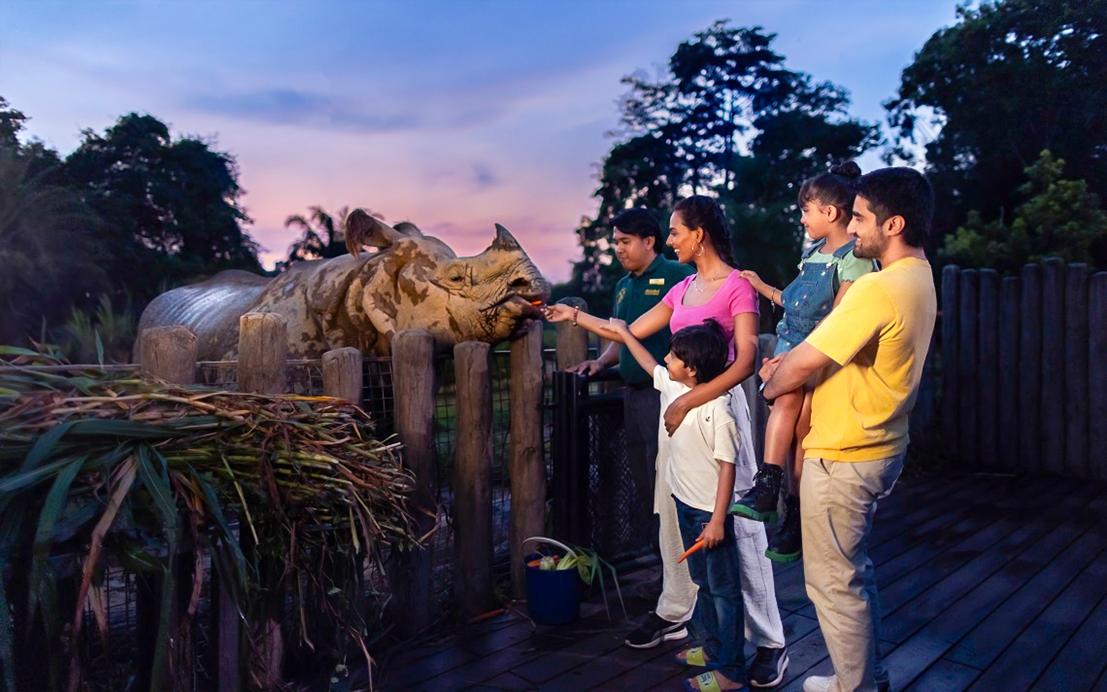 Family feeding an Indian rhino at a wildlife park during sunset.