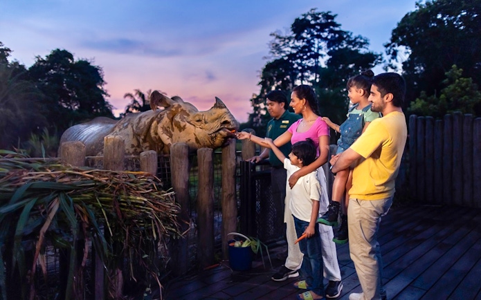 Family feeding an Indian rhino at a wildlife park during sunset.