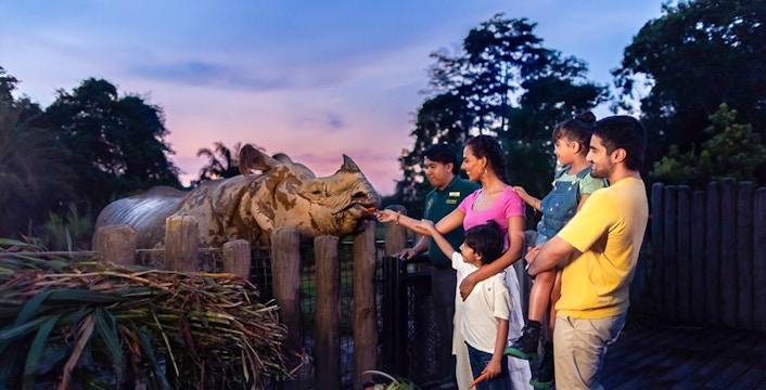 Family feeding an Indian rhino at a wildlife park during sunset.