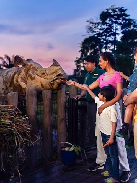 Family feeding an Indian rhino at a wildlife park during sunset.