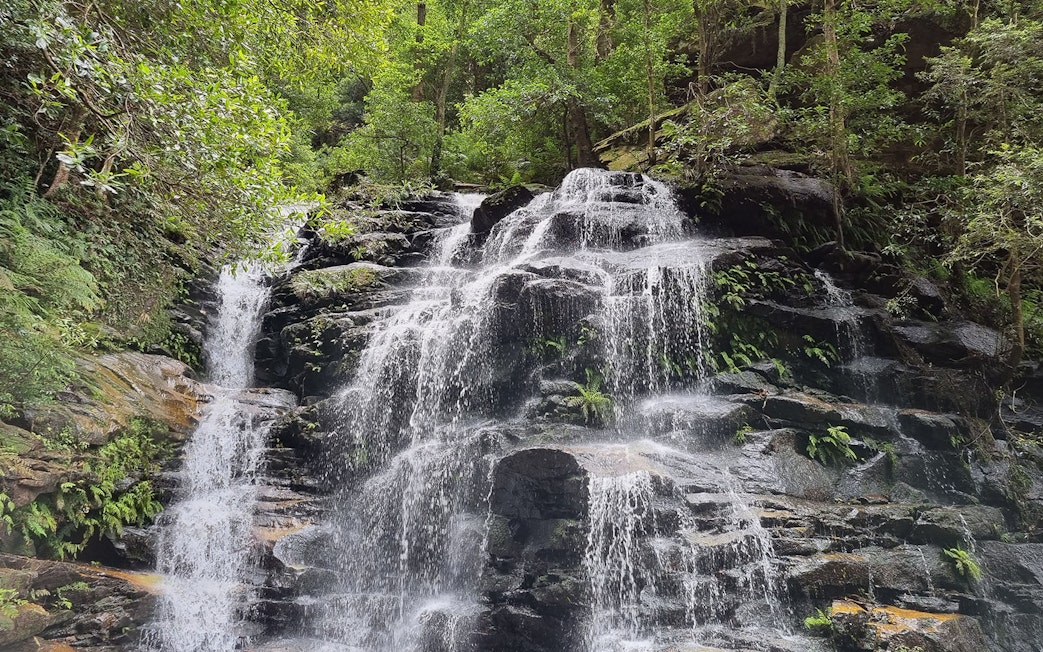 Wentworth Falls cascading over rocky ledges surrounded by lush greenery.