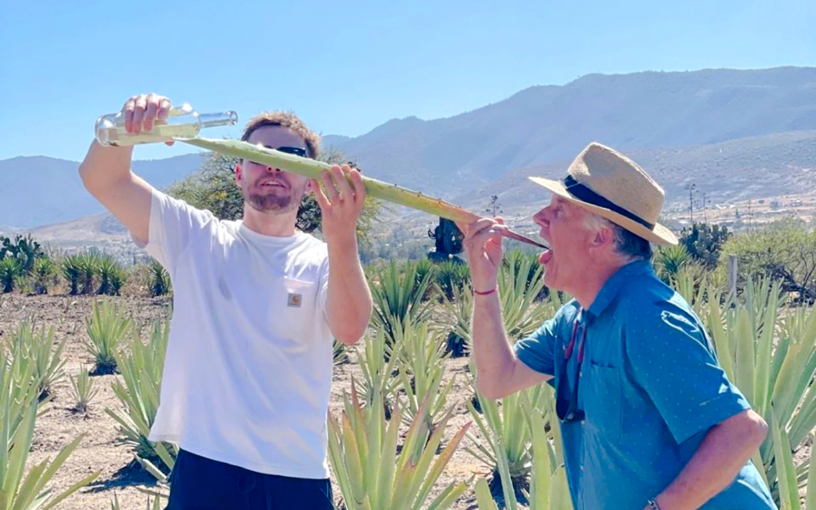 Oaxaca Countryside Mezcal Distillery & Agave Fields Small-Group Tour With Tasting & Oaxacan Food