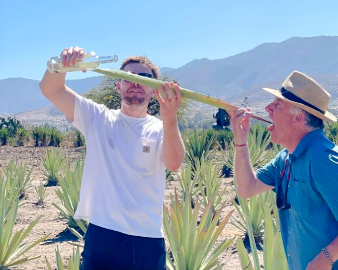 Oaxaca Countryside Mezcal Distillery & Agave Fields Small-Group Tour With Tasting & Oaxacan Food