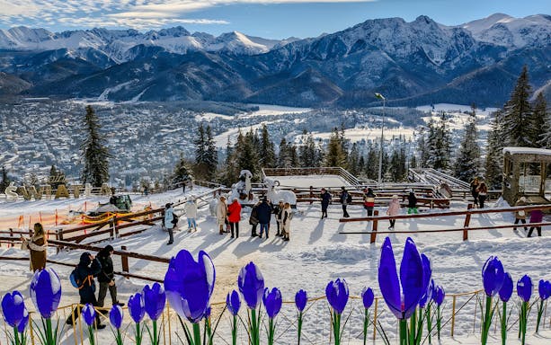 Panoramic view of Tatra Mountains from Zakopane, showcasing lush green valleys and rugged peaks.