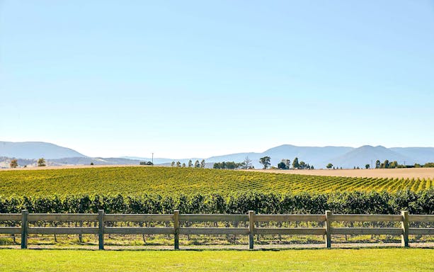 Yarra Valley vineyards