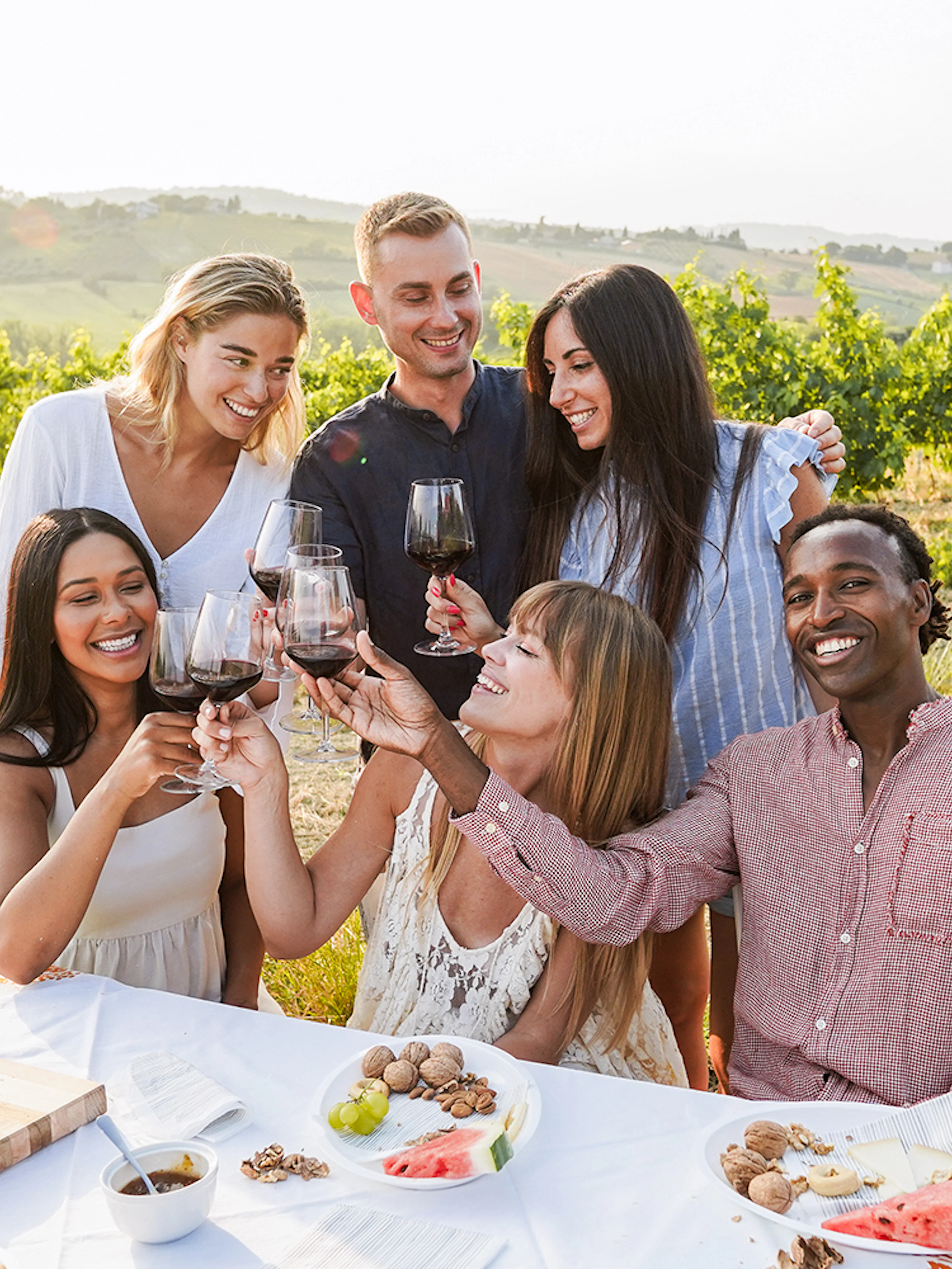 Group enjoying wine tasting in a vineyard in Provence.