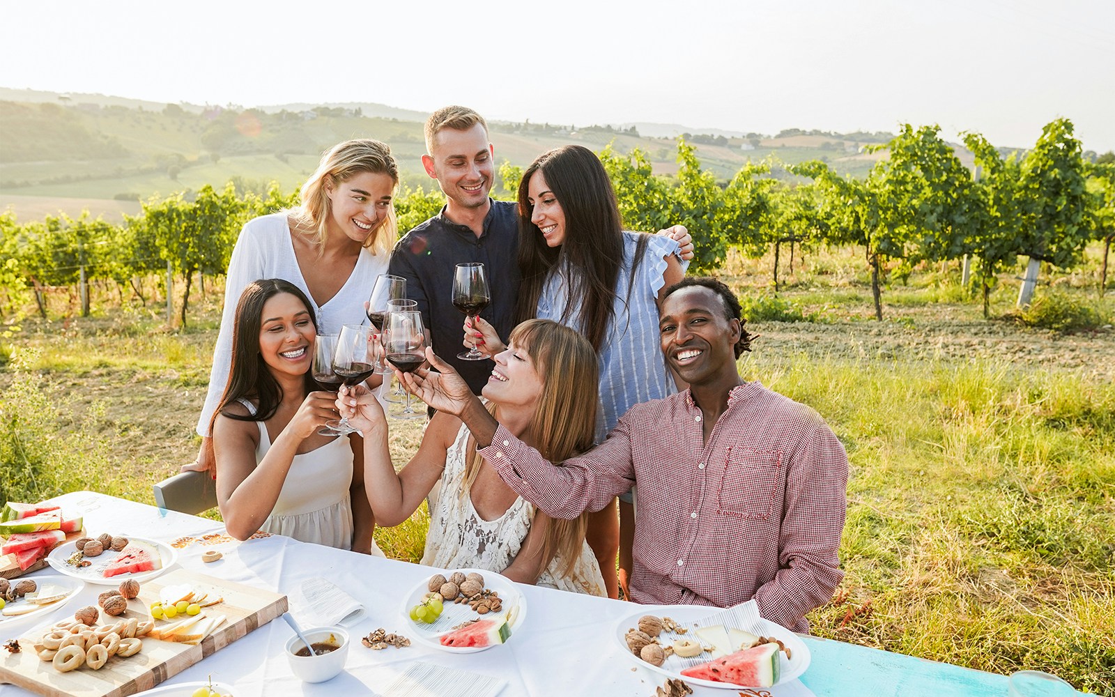 Group enjoying wine tasting in a vineyard in Provence.
