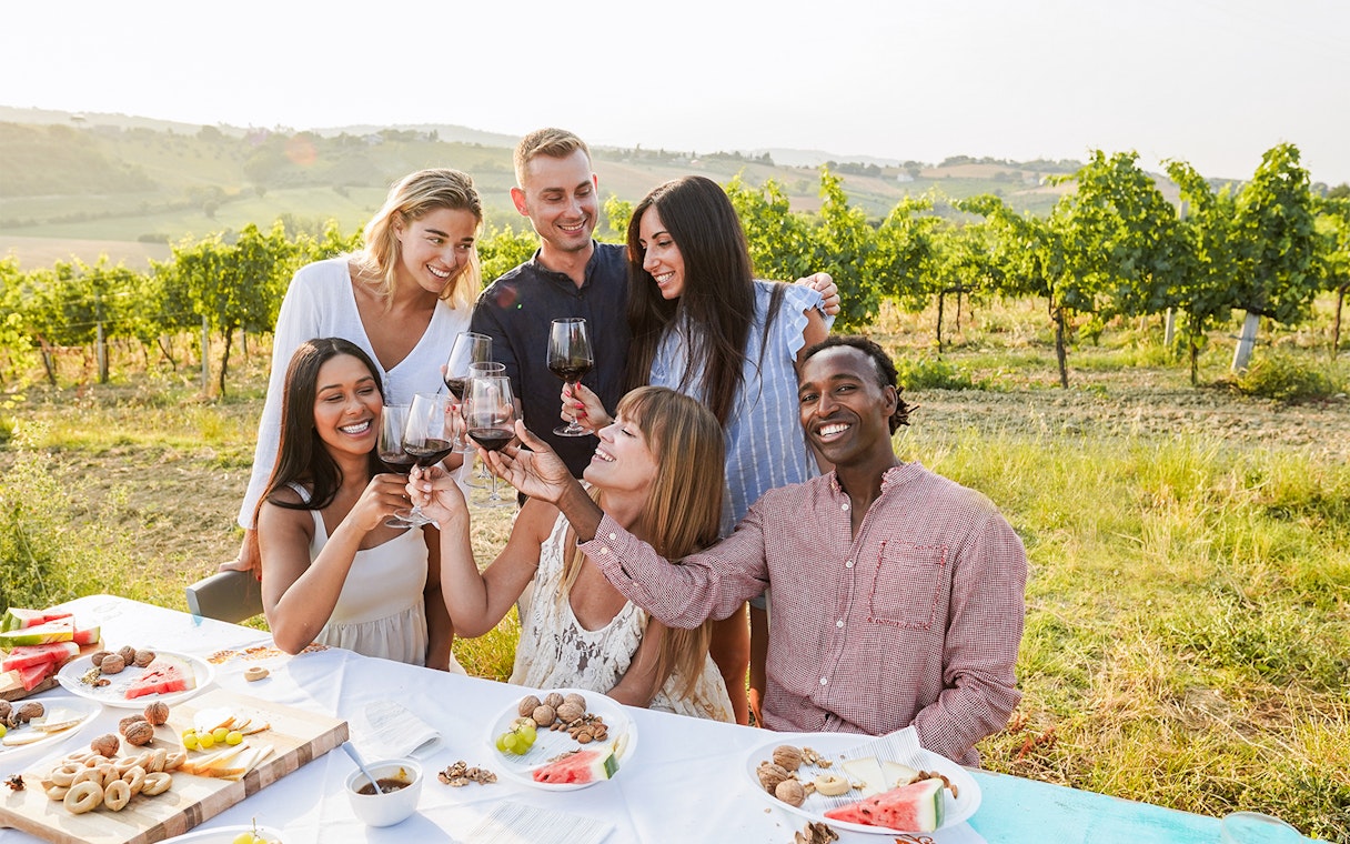 Group enjoying wine tasting in a vineyard in Provence.