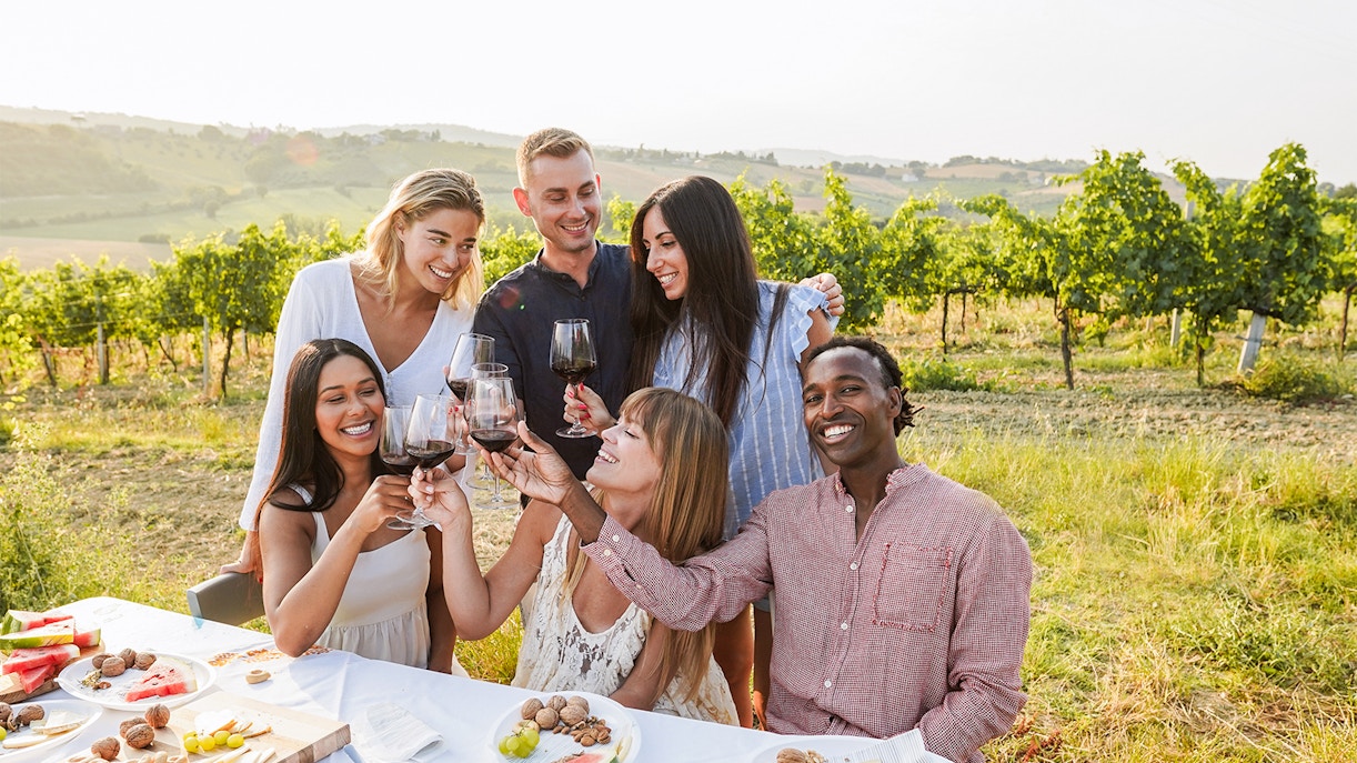 Wine Tours in Provence