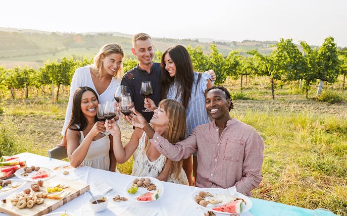 Group enjoying wine tasting in a vineyard in Provence.