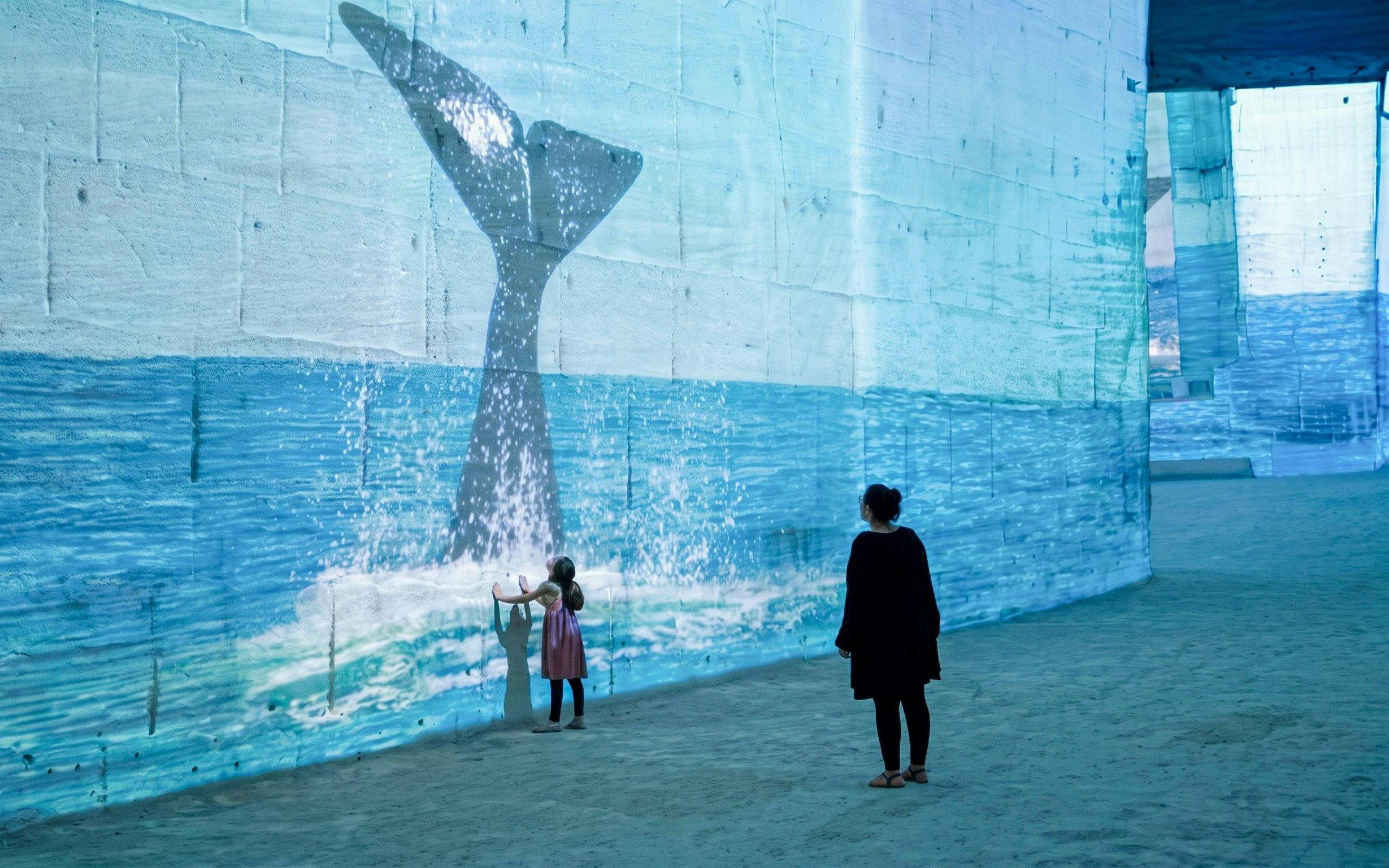 Visitors viewing whale tail projection at Carrières des Lumières Ocean exhibit.