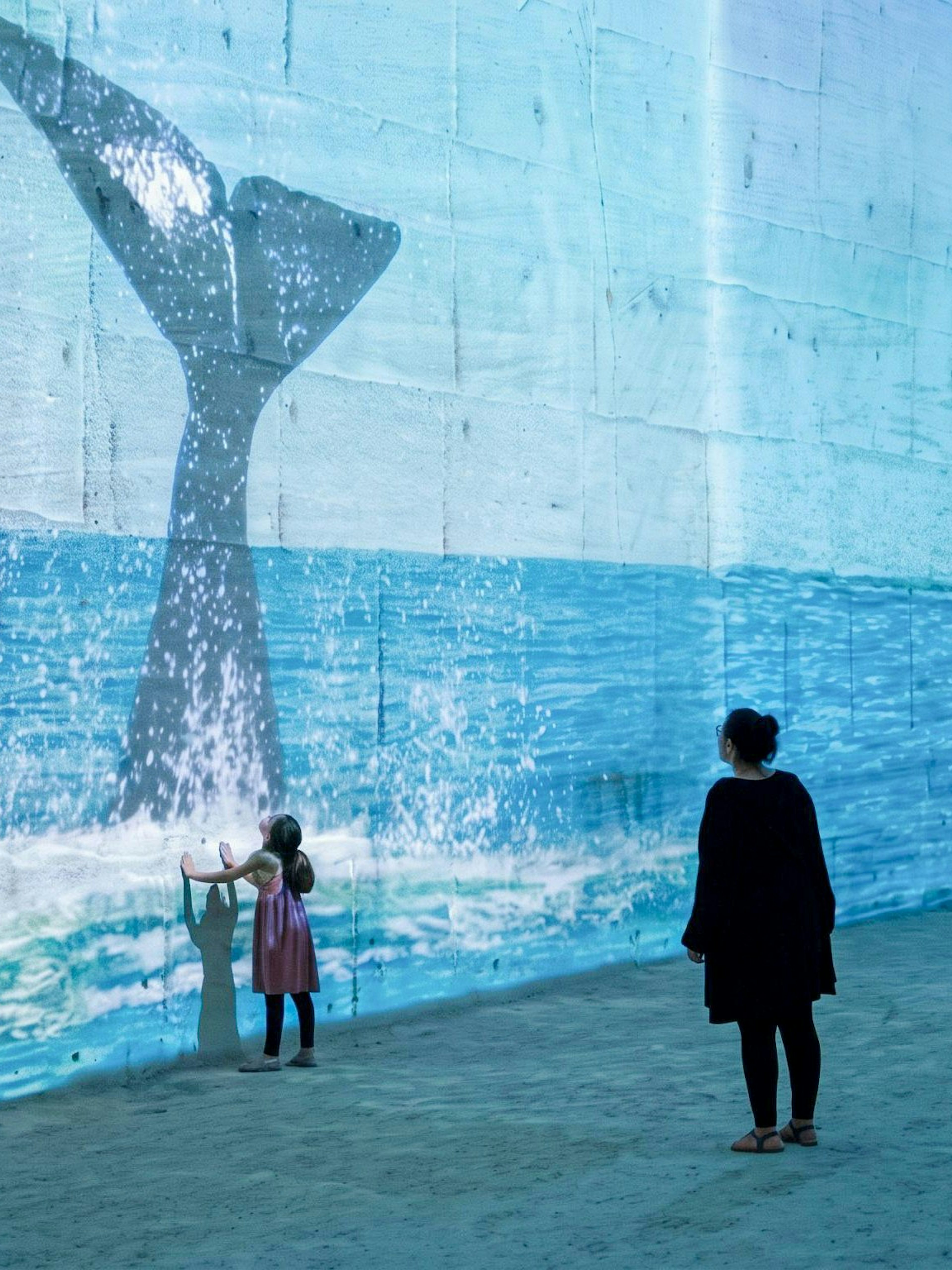 Visitors viewing whale tail projection at Carrières des Lumières Ocean exhibit.